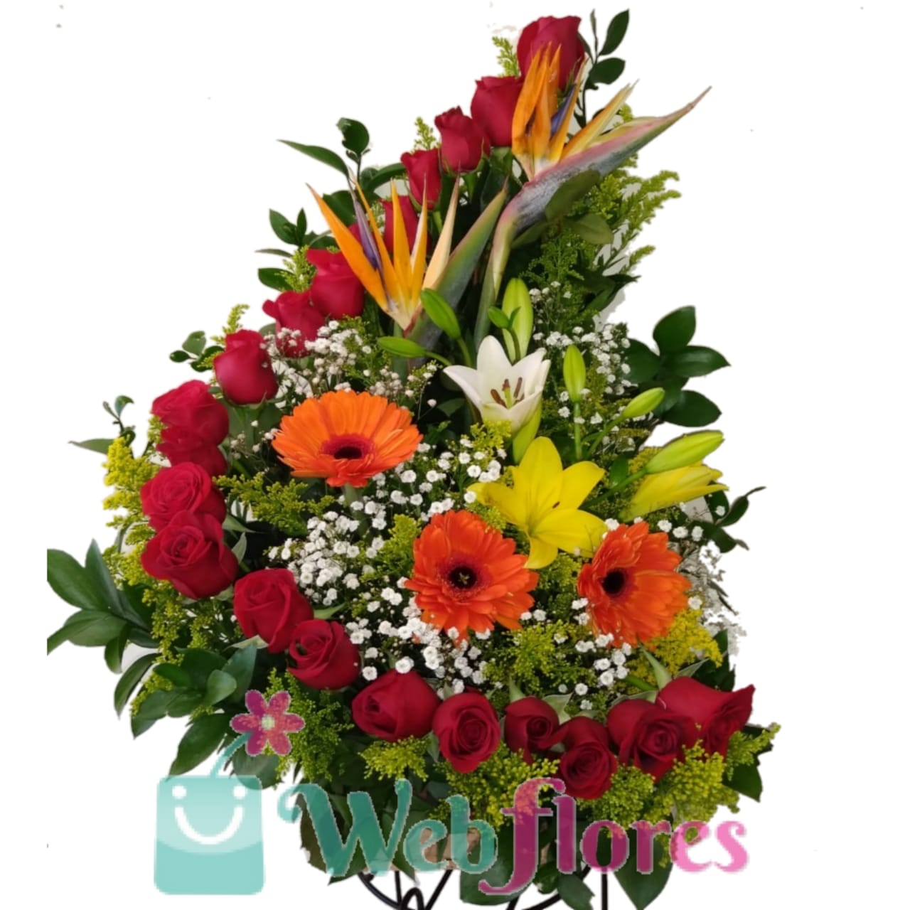 Arco Tropical | Web Flores